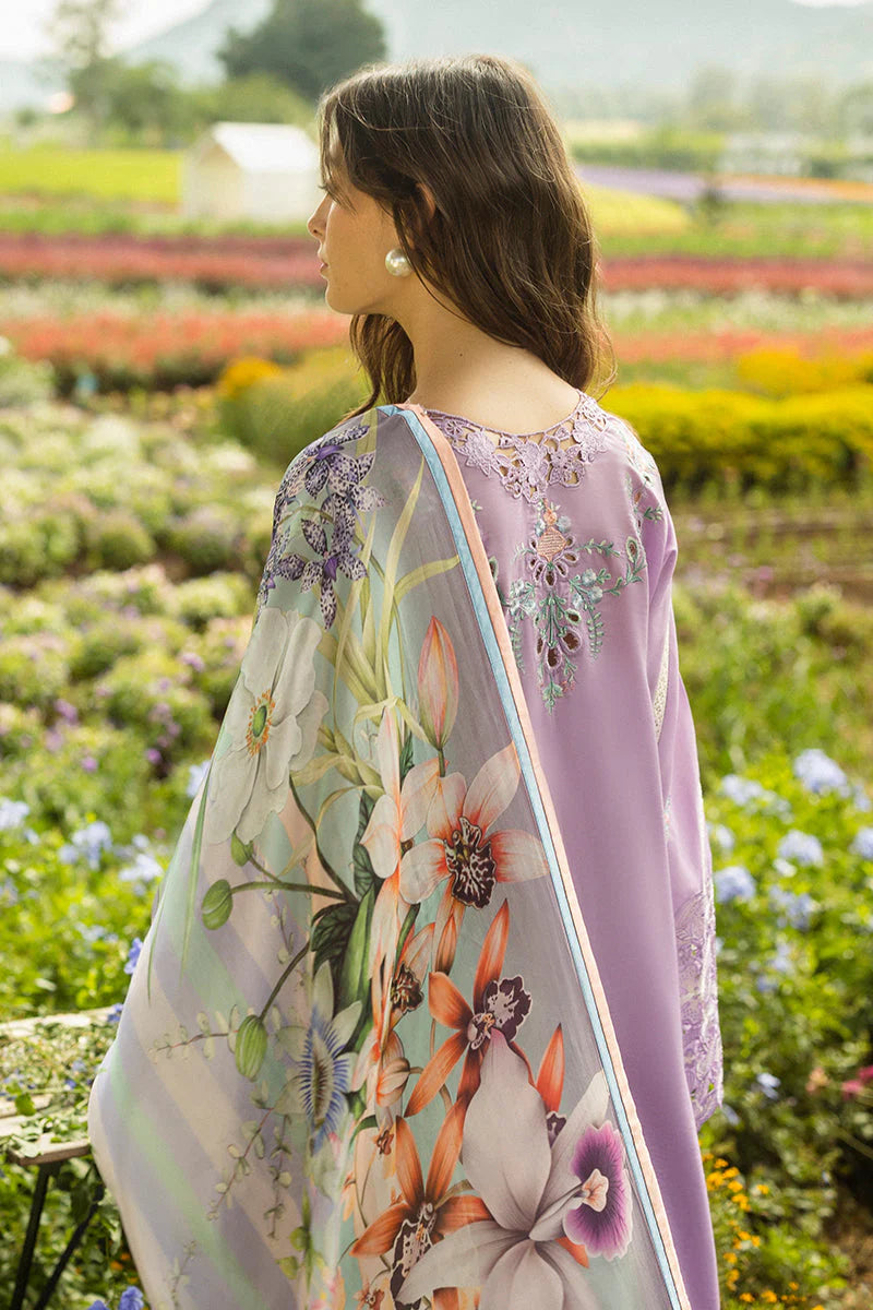 MUSHQ-3PC DHANAK EMBROIDERED SHIRT WITH COUTRAI WOOL PRINTED SHAWL AND TROUSER - 4018