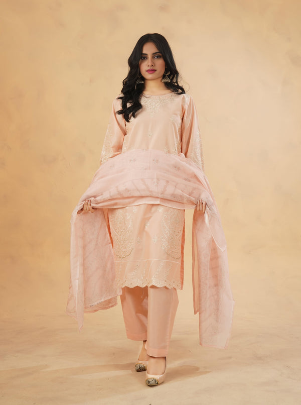 3 Piece Stitched Luxury Embroidered Pret | N - 5010